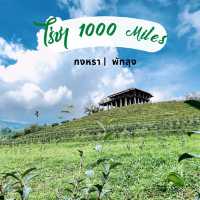 คาเฟ่วิวหลักล้าน