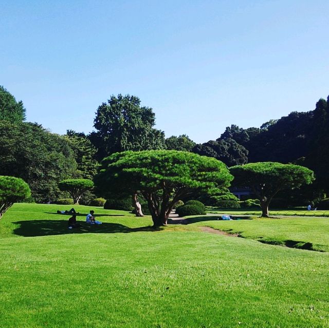 도쿄 신주쿠교엔 공원 애니메이션 언어의 정원 배경지
