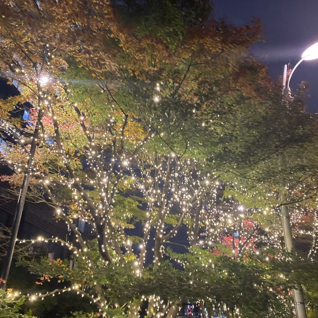 東京/港区　「東京ミッドタウン」