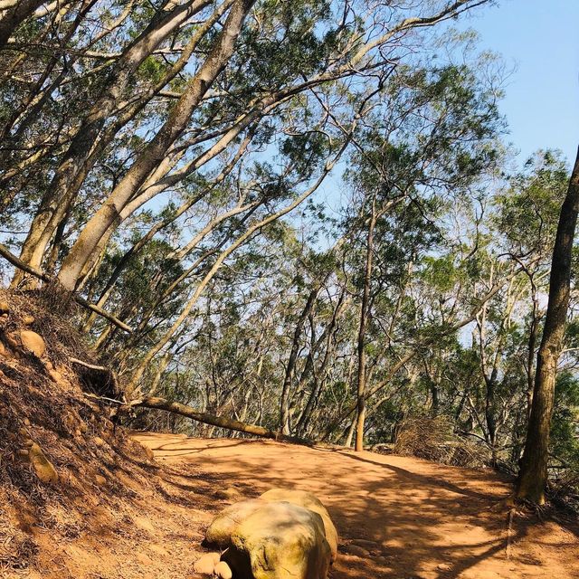 🔥熱熱熱～熱情如火的火焰山⛰️