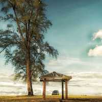 Tok Aman Bali Beach Stunning View