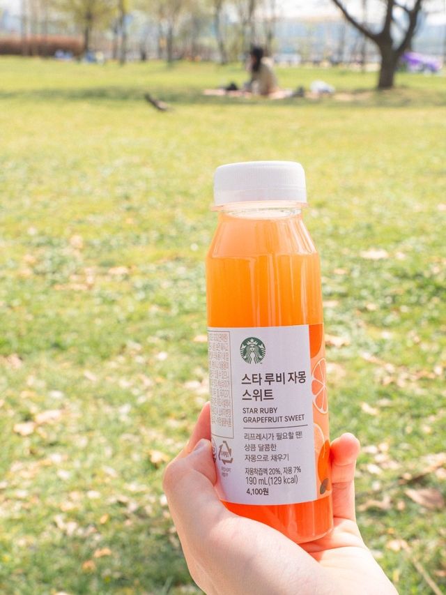서울 피크닉 명소, 망원한강공원에서 소풍 즐겨요!