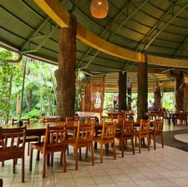 ป่าในจินตนาการ ข้าวเม่า-ข้าวฟ่าง เชียงใหม่ 🌳🌿🍃