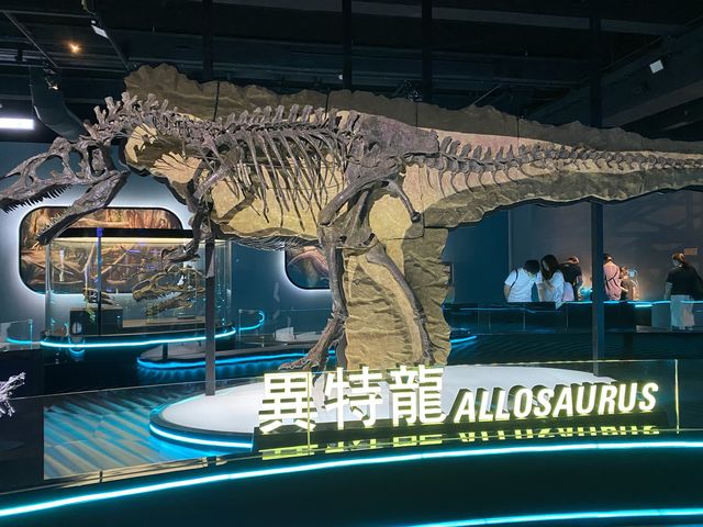 🦕八大．尋龍記🦖