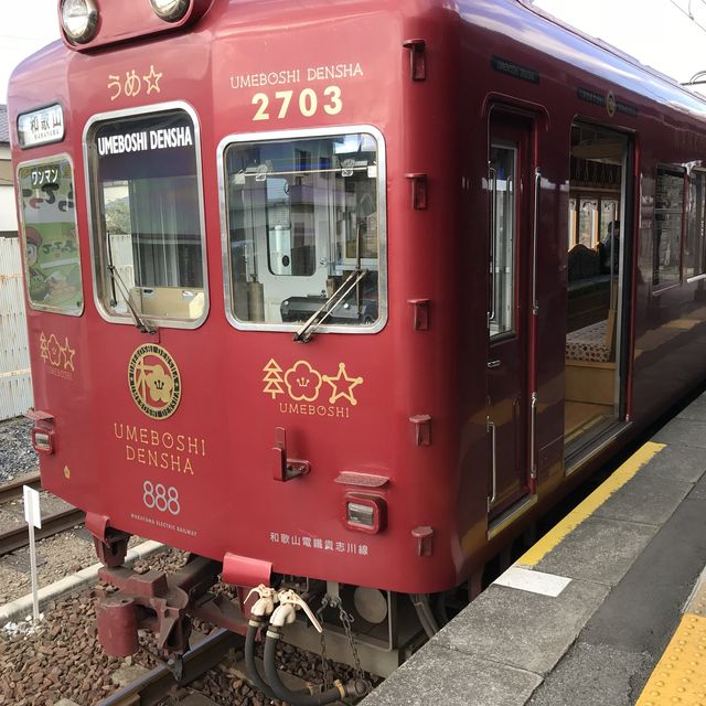 🐱 🚊 同時滿足鐵路迷和貓奴 — 貴志駅