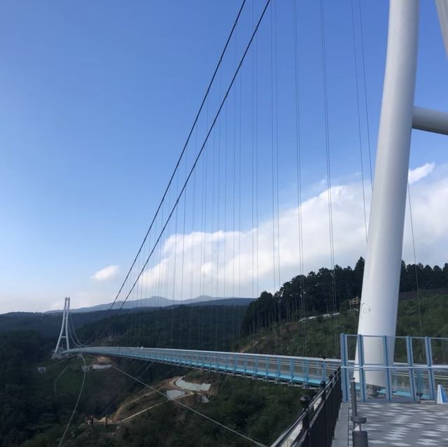 【静岡県】360℃絶景の吊橋へ！