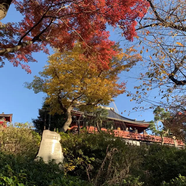 紅葉が綺麗な上野公園