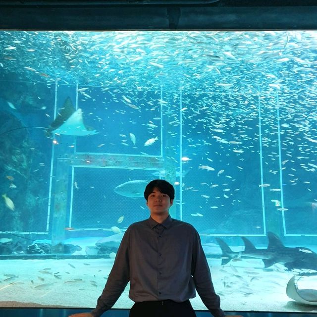 코엑스 아쿠아리움 방문!!