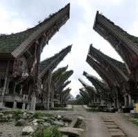 Rantepao - At the heart of Toraja rituals
