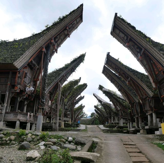 Rantepao - At the heart of Toraja rituals