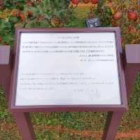 岩手県！花巻空港の紹介～秋～