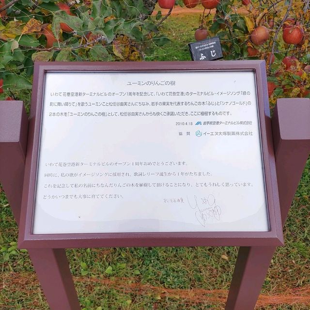 岩手県！花巻空港の紹介～秋～