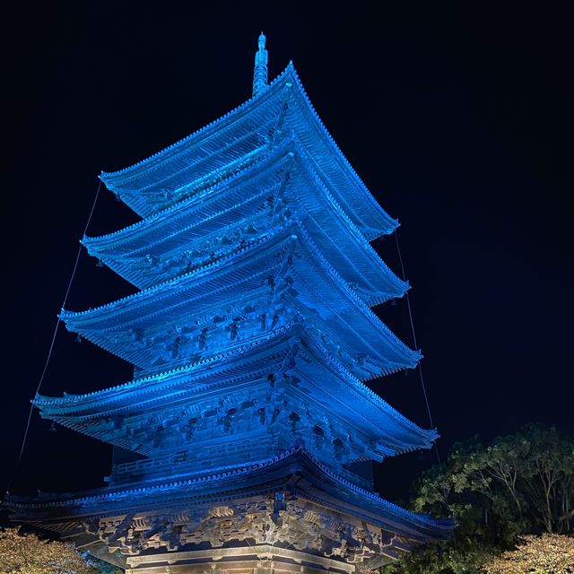 東寺🍁