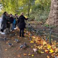 St James Park 