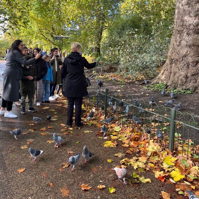 St James Park 