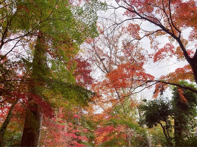 【埼玉】川口市　興禅院