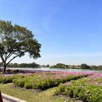 เดินเที่ยวชมสวน ที่สวนหลวงร.9