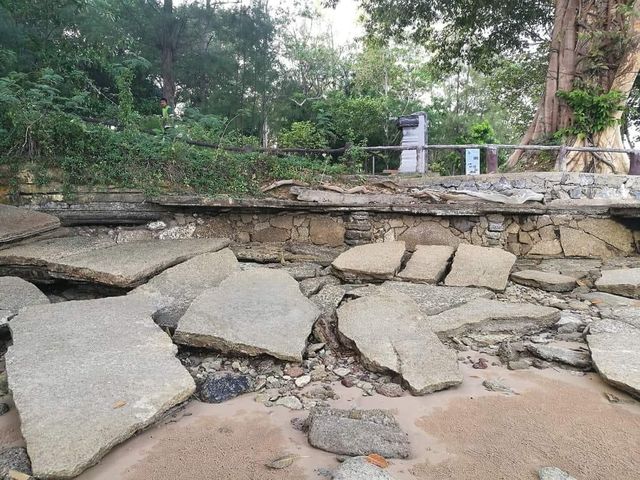 สุสานหอย 75 ล้านปี
