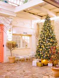 서울 압구정 크리스마스 핫플 모음집🎄🔥