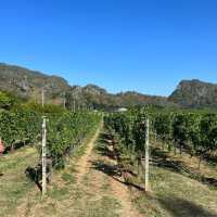 Farm and Wine at Pak Chong (Khao Yai)