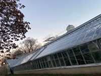 Allan Gardens Conservatory in Toronto 🇨🇦