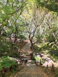 Walkers paradise in the heart of Tokyo!! 