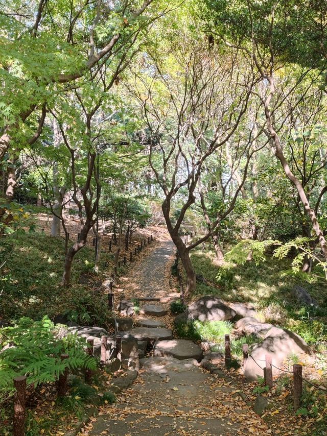 Walkers paradise in the heart of Tokyo!! 