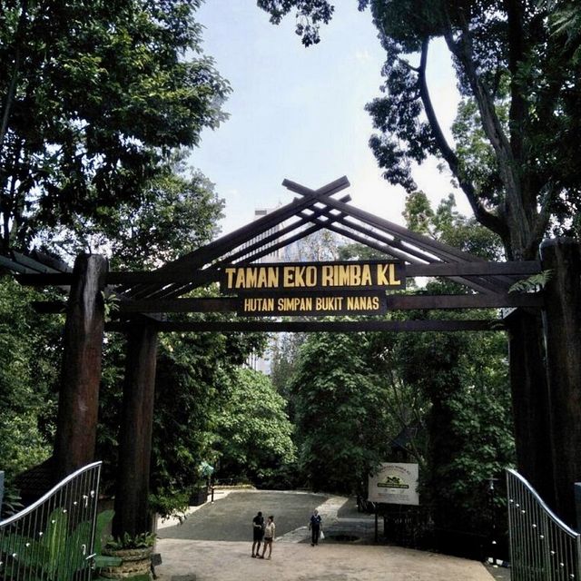 KL Forest Eco Park - KL, Malaysia  