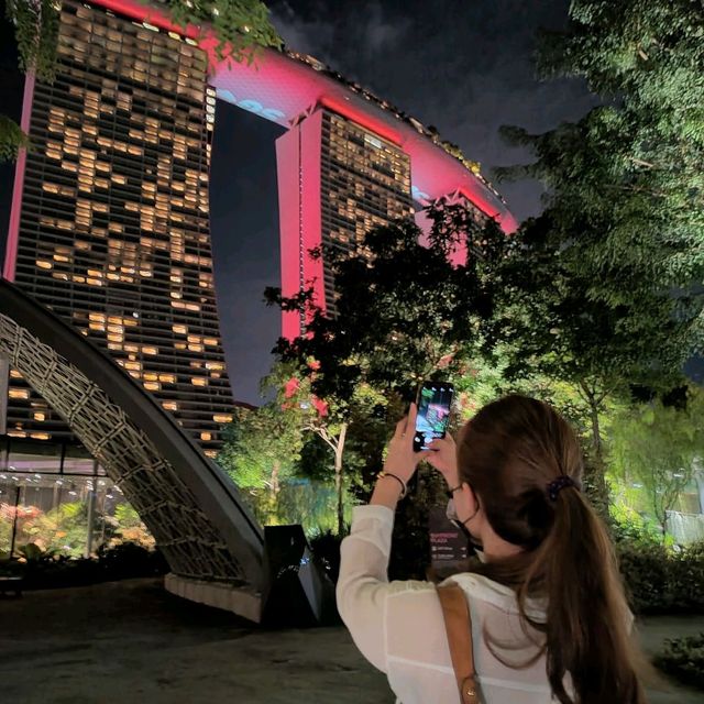 Garden by the bay at Night 