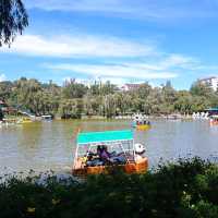 A wonderful park