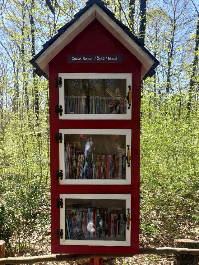 A library in the forest 📚