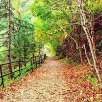 📍Nathia Gali~ British Era Tunnel Track 💖