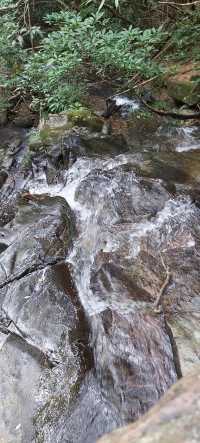 城門水塘輕鬆行山