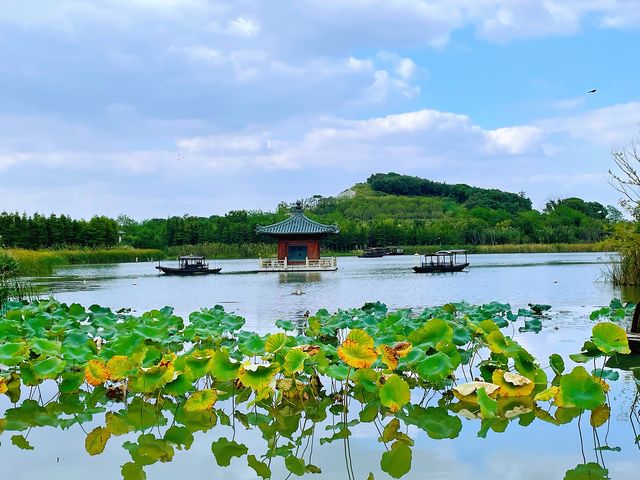 禅意拈花湾，一花一世界