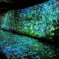 ....creative thoughts....๐จ๐ญ๐๏ธ