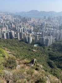 由雄獅拉矢脊登獅山