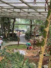 African Village in Indonesia, what? Amazed!!!