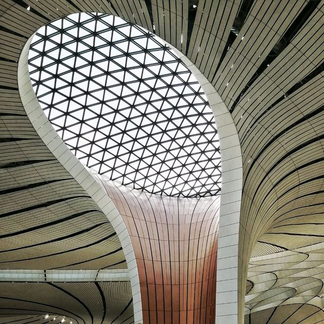 Stunning Daxing Airport in Beijing