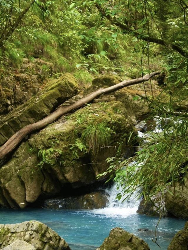 Guizhou Longli, the blue tears in the mountains. Do you think it's beautiful? ⛰️