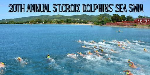20th Annual St.Croix Dolphins' Sea Swim | Frederiksted Pier