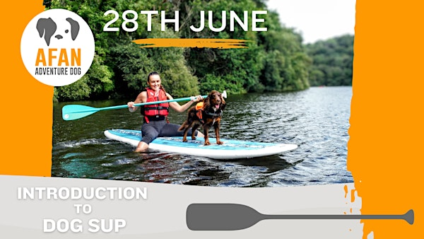 Introduction to Dog SUP | Spring Valley Lakes