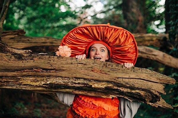 The Mushroom Show - Scratchworks Theatre | Barnstaple Library