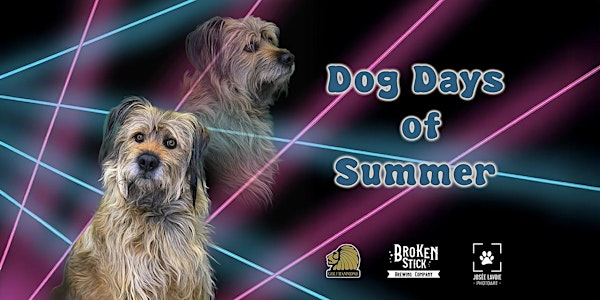 Dog Days of Summer Retro Pet Photoshoot | Hammond Golf and Country Club