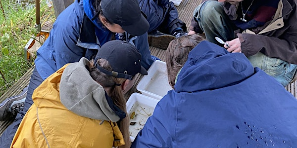 Youth Event: Introduction to Conservation (3-day course) | Grow Wilder
