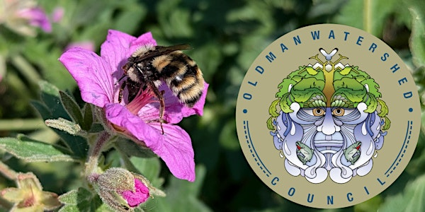 OWC Bioblitz | Helen Schuler Nature Centre