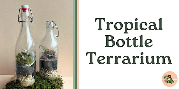 Bottle Terrarium Workshop | B.Willow