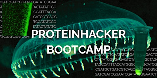 How to Engineer a Protein | Genspace