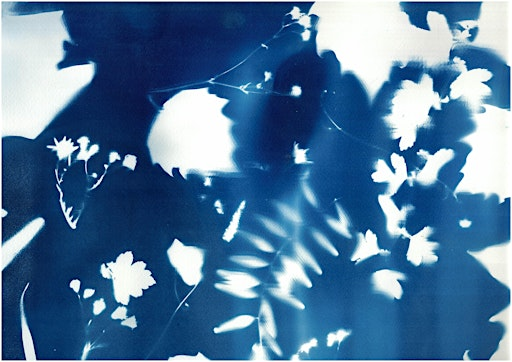 Cyanotype for Beginners | St Martin's Church