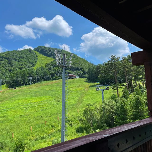 여름엔 강원도로 여행을 떠나보세요 