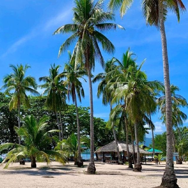 Cowrie Island, Palawan